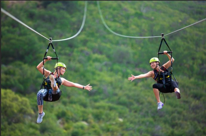Zipline — photo 1