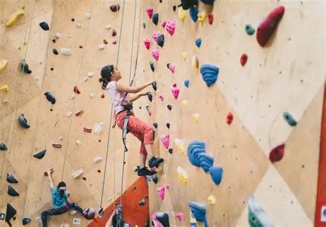 Wall Climbing (Above 14 Years) in Rishikesh